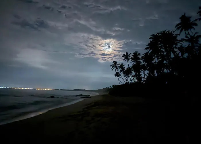 Shine Wave Turtle Beach